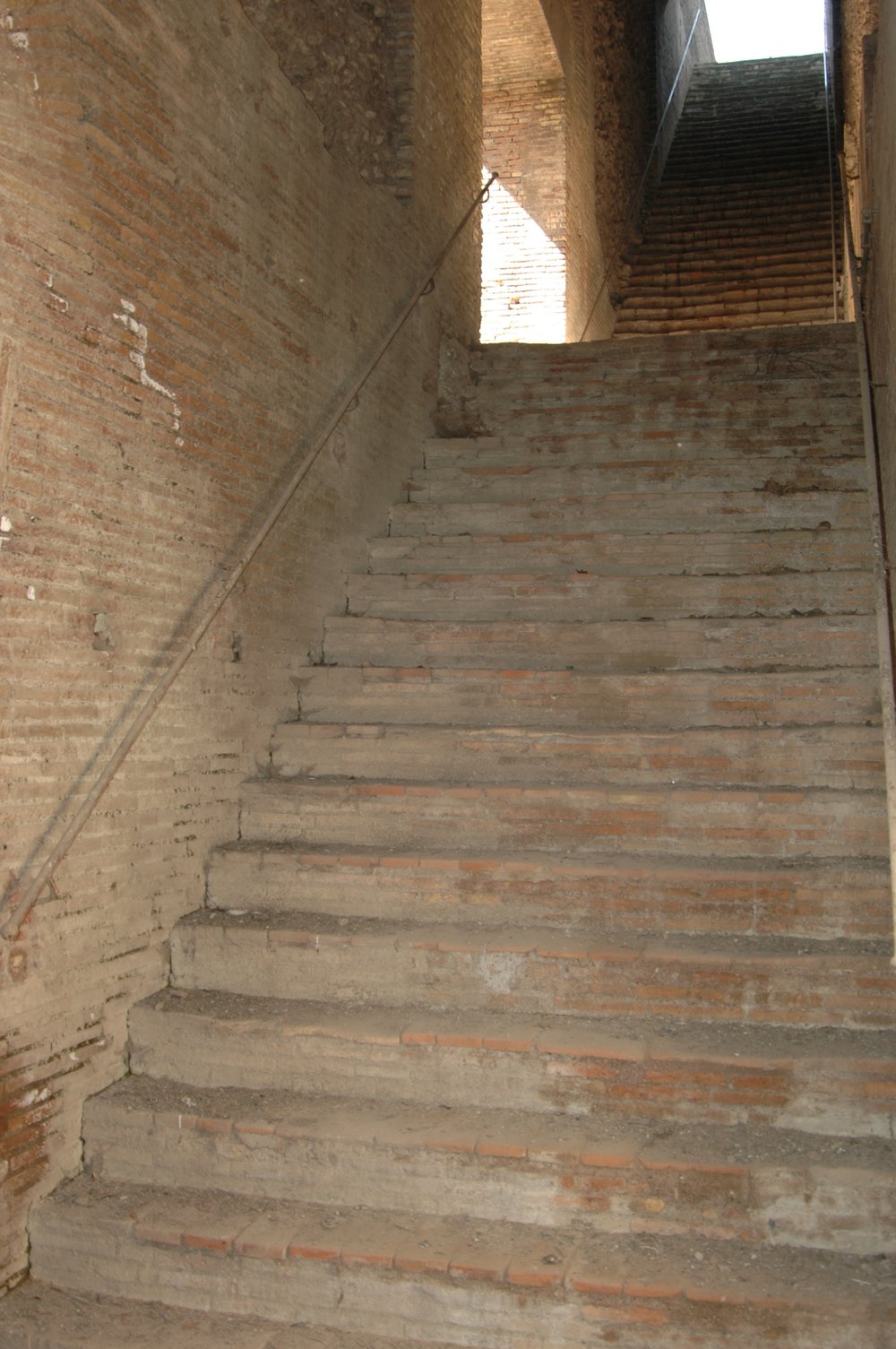 Tomei 100.TIF