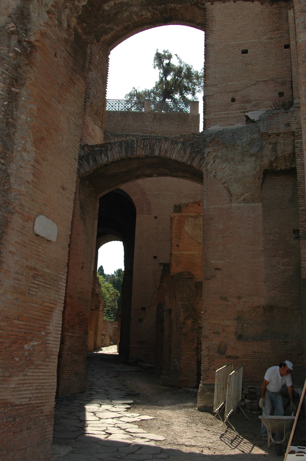 Tomei 043.TIF