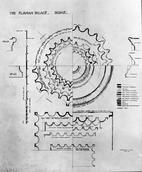 003858 - elaborato grafico - Domus Flavia: rilievi e ricostruzioni - profili di colonne, Gordon Leith 1913