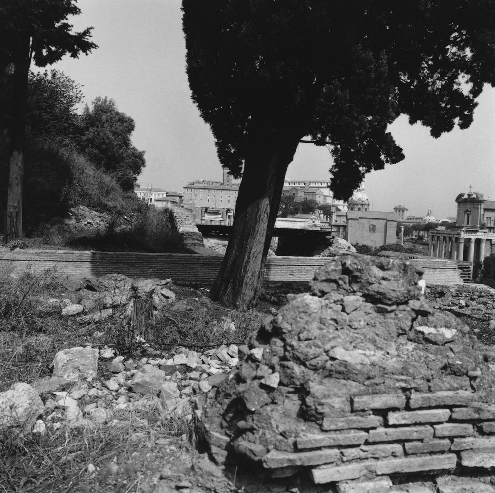 PS1 0771NBVedutaCircostante Lavori.JPG