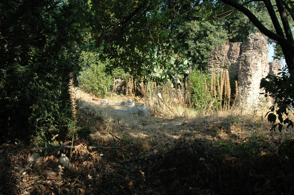PS1 0235Torretta.jpg