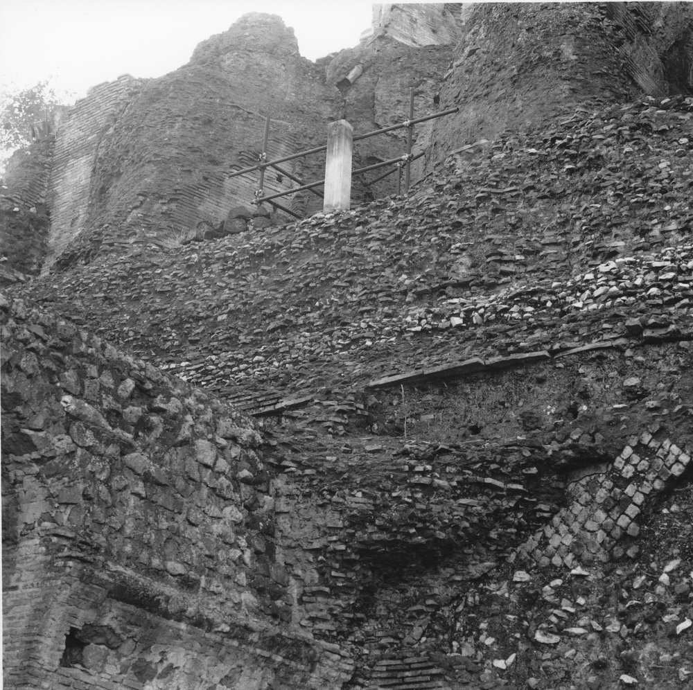 PS1 0717ViaNovaGen-Feb2006PrimLav 6.JPG