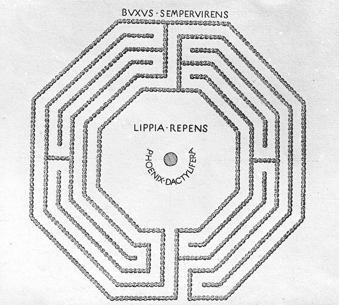 005968 - elaborato grafico - Palatino, Horti Farnesiani: pianta del Labirinto