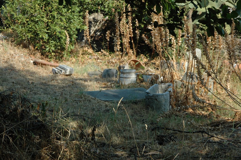 PS1 0236Torretta.jpg