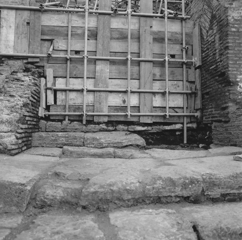 PS1 0697ViaNovaGen-Feb2006PrimLav 28.JPG