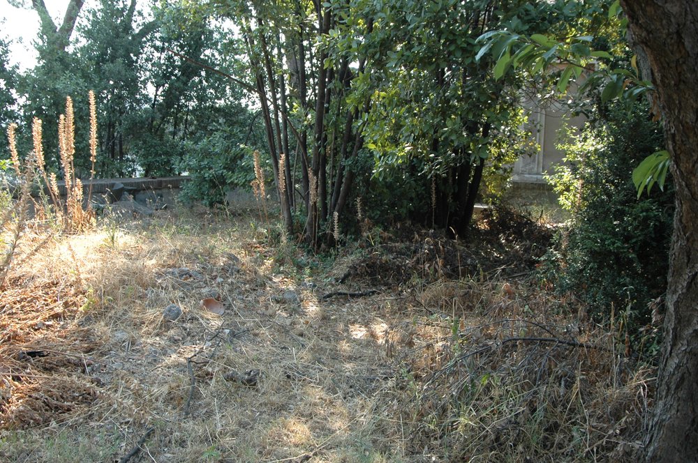 PS1 0237Torretta.jpg