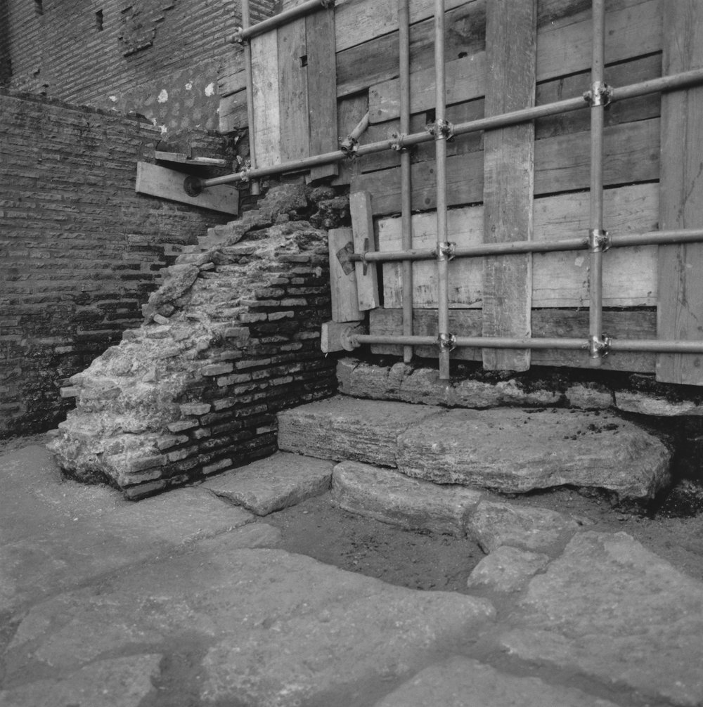 PS1 0696ViaNovaGen-Feb2006PrimLav 27.JPG