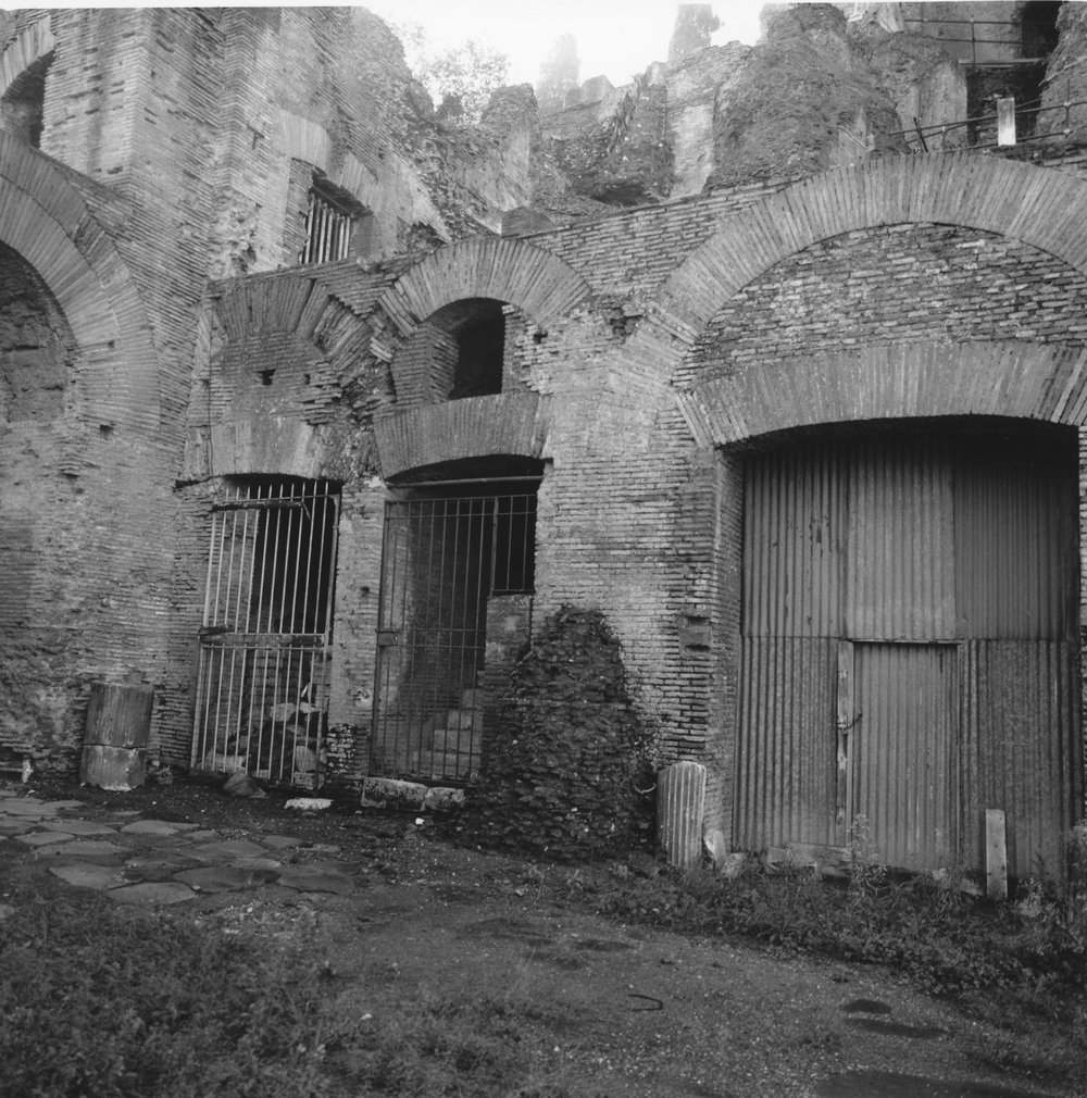 PS1 0715ViaNovaGen-Feb2006PrimLav 4.JPG