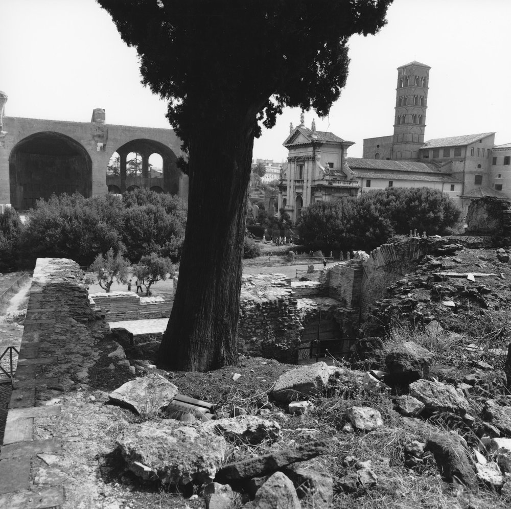 PS1 0115NBVedutaCircostante Lavori.JPG