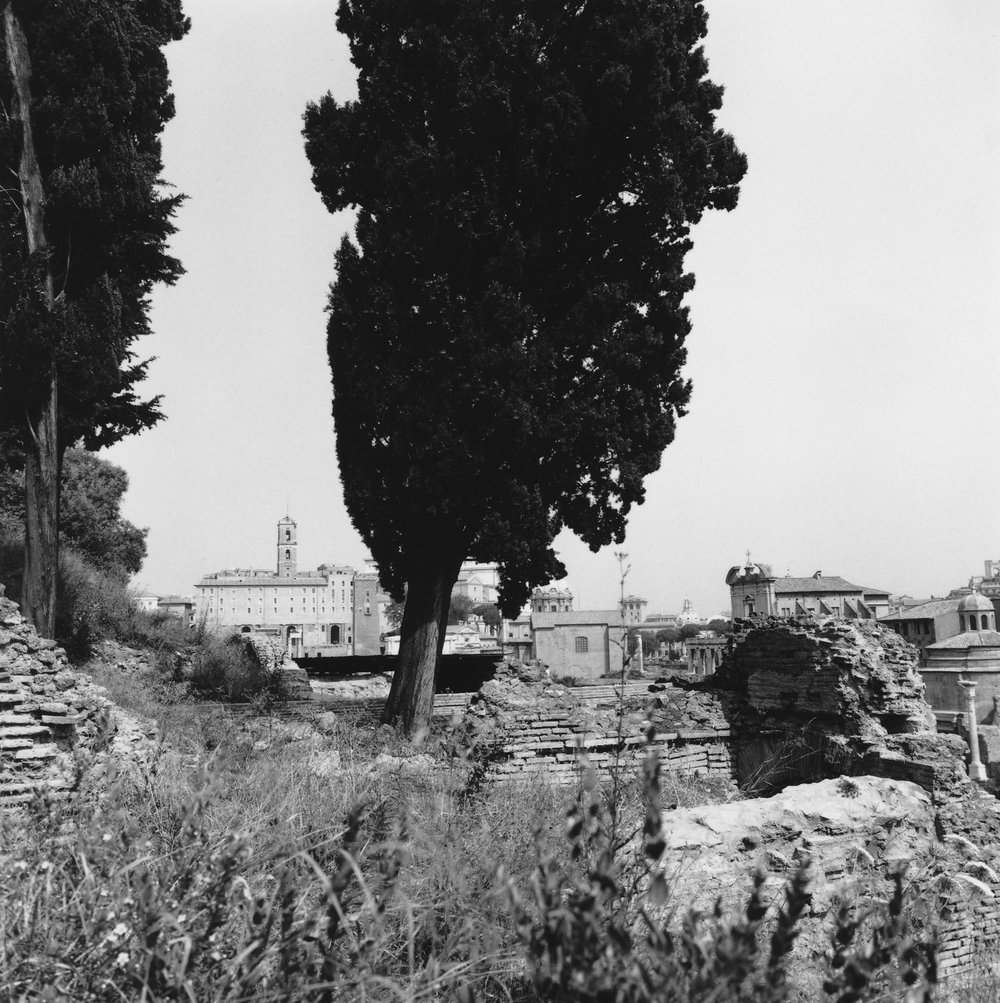 PS1 0770NBVedutaCircostante Lavori.JPG