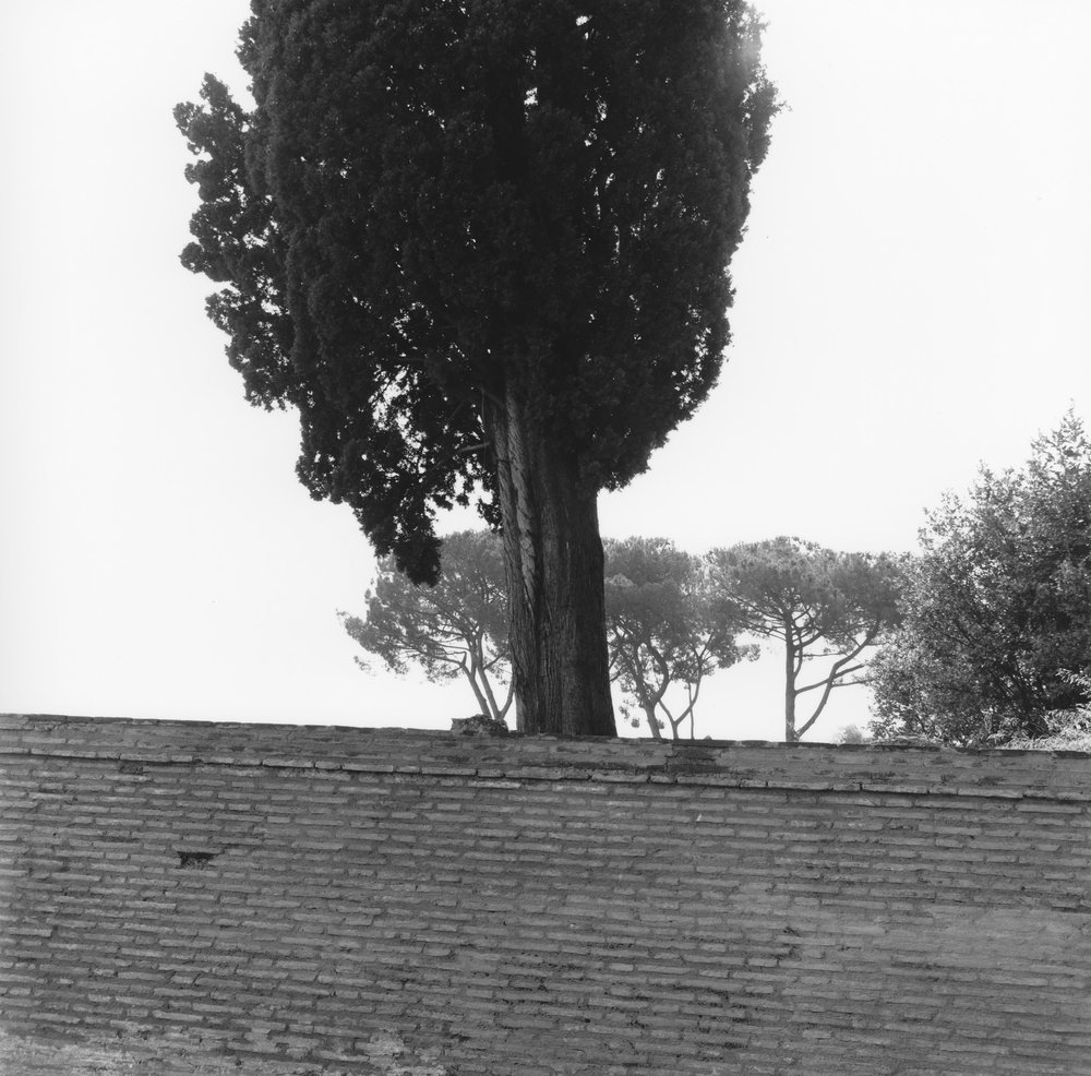 PS1 0769NBVedutaCircostante Lavori.JPG