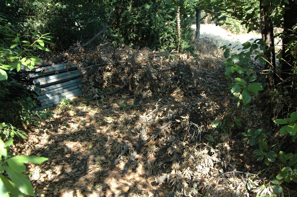PS1 0234Torretta.jpg