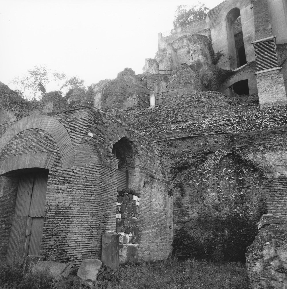 PS1 0722ViaNovaGen-Feb2006PrimLav 11.JPG