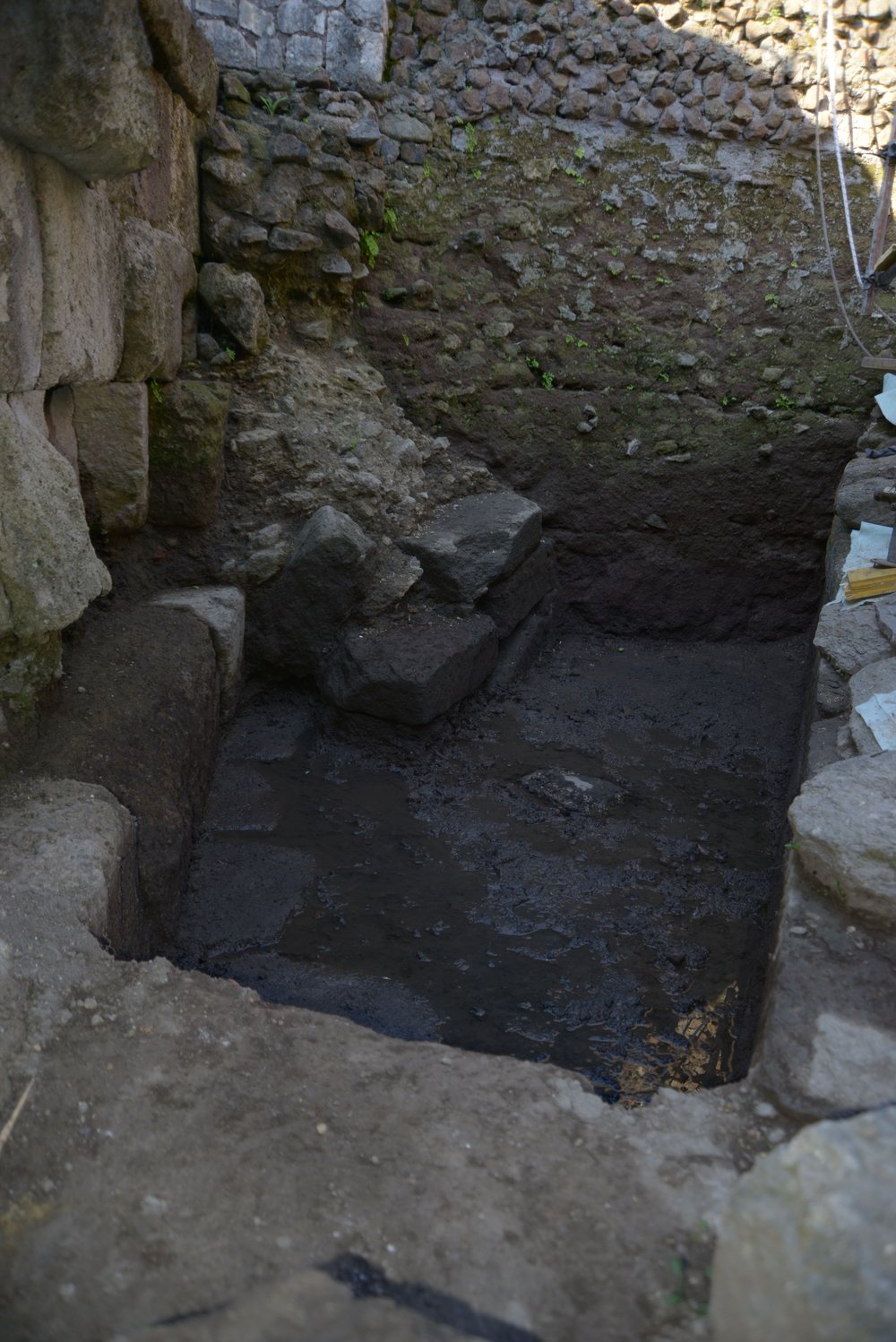 DSC_1211.jpg