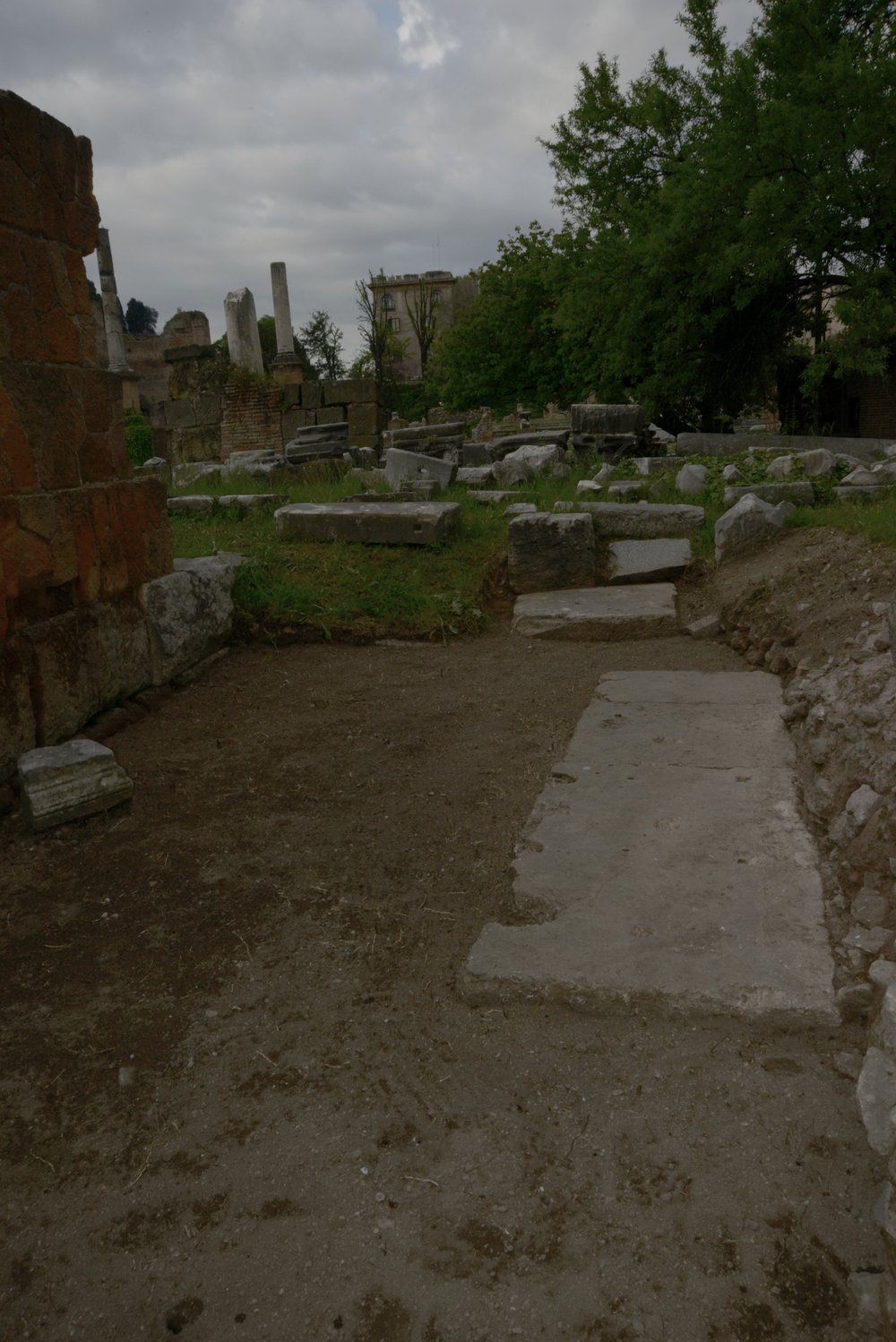 DSC_0942.jpg