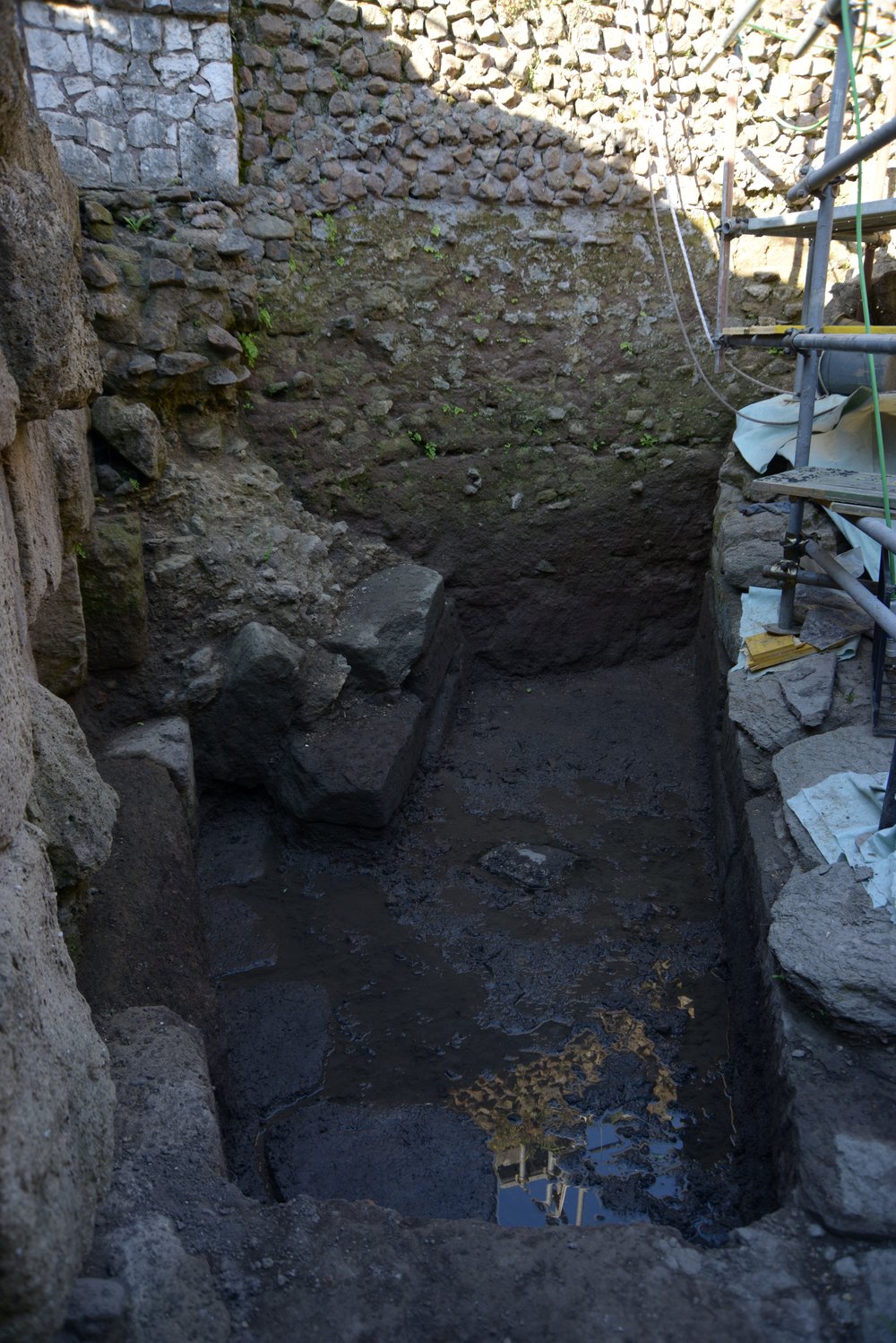 DSC_1213.jpg
