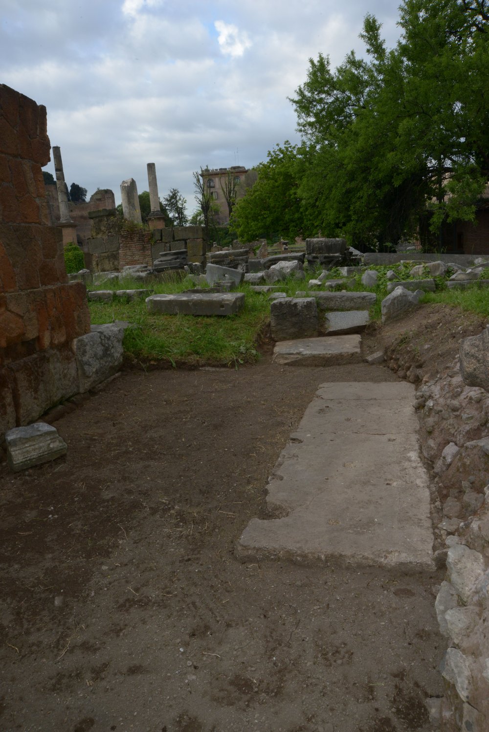 DSC_0943.jpg