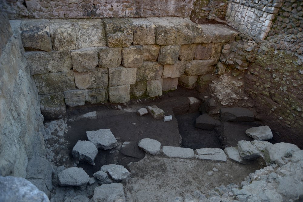 DSC_0893.jpg
