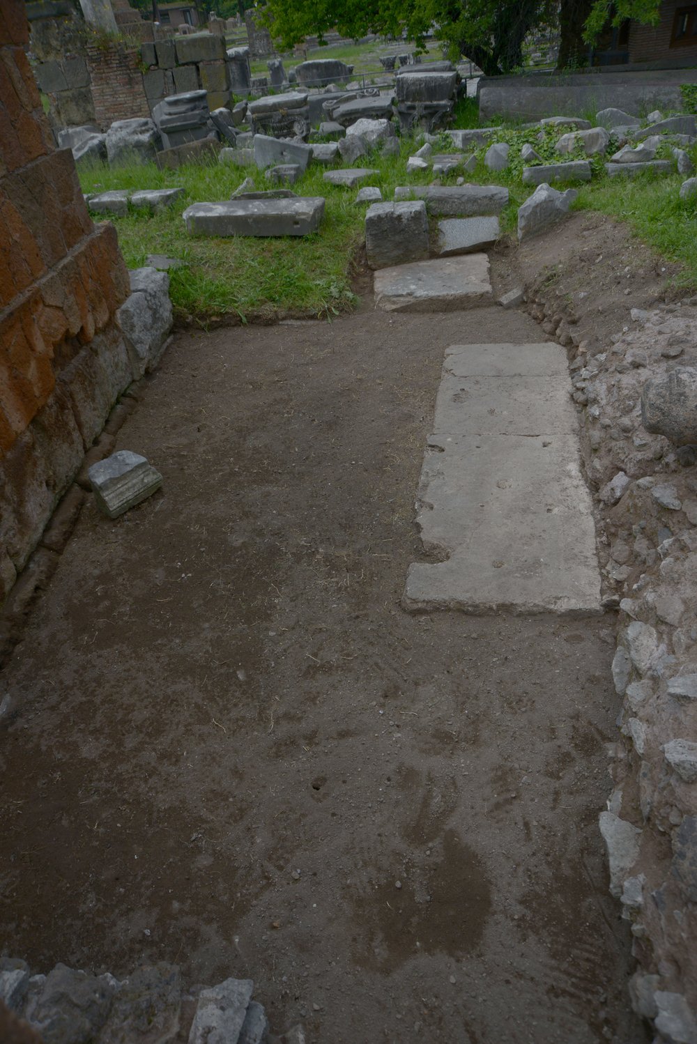 DSC_0930.jpg