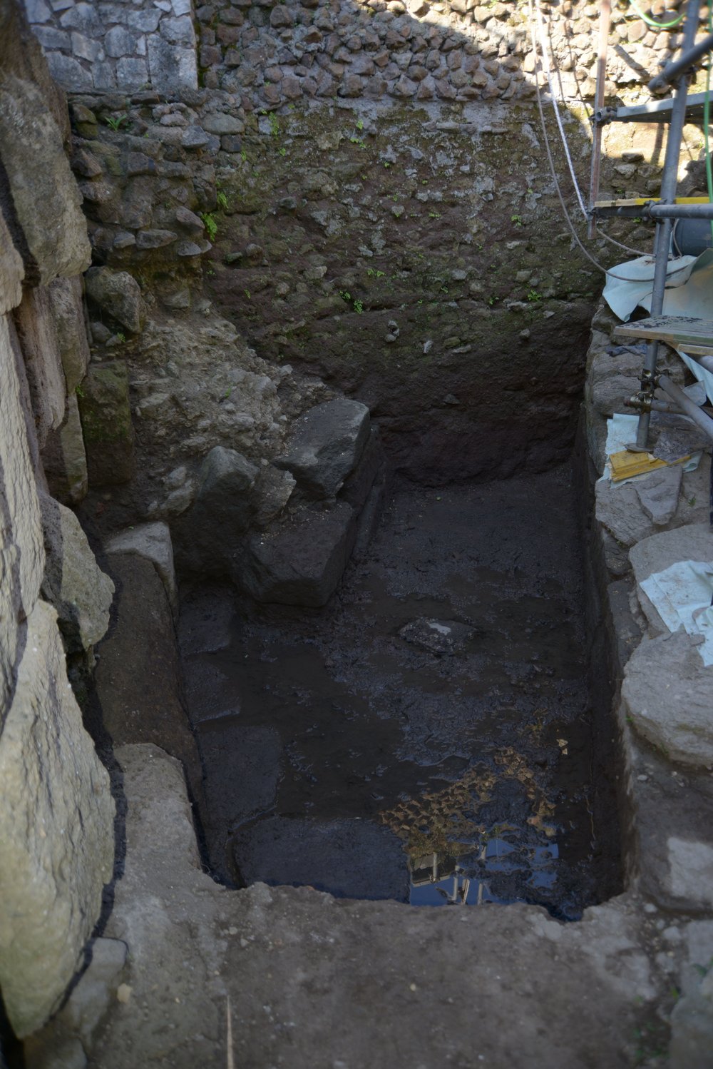 DSC_1214.jpg
