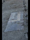 DSC_0733.NEF