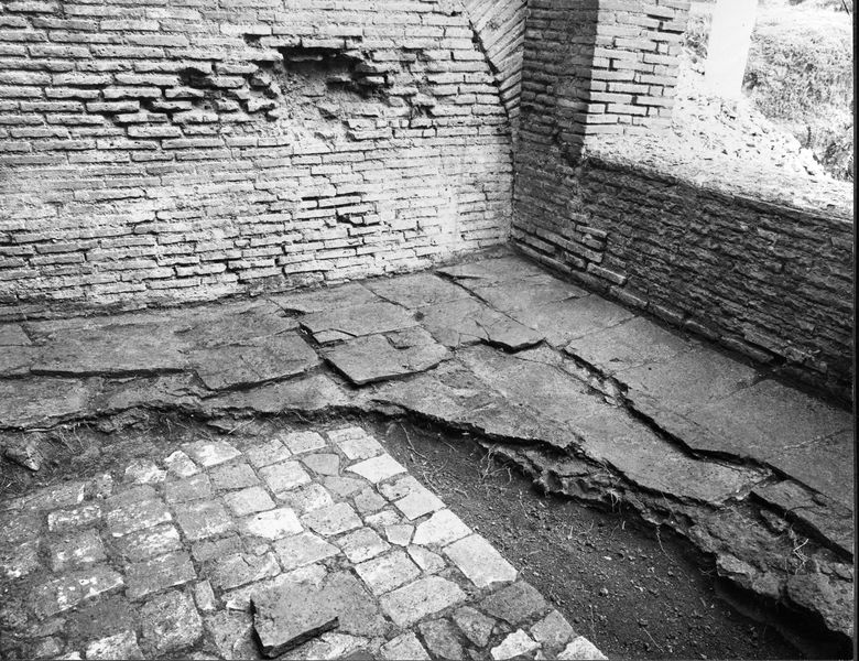 012378 - monumento - Casa delle Vestali, ambiente tra il forno e l'area del tempio, particolare del pavimento; neg. serie 9x12, n. 806