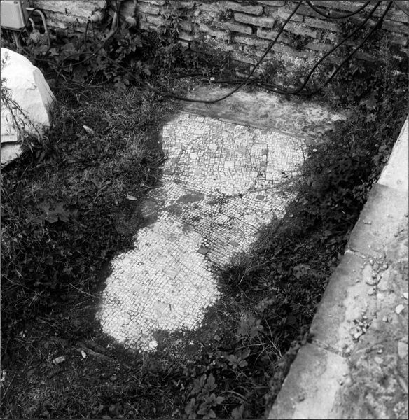 012382 - monumento - Casa delle Vestali, resto di mosaico repubblicano a destra dell'edicola (novembre 1970); neg. serie 6x6, n. 1936