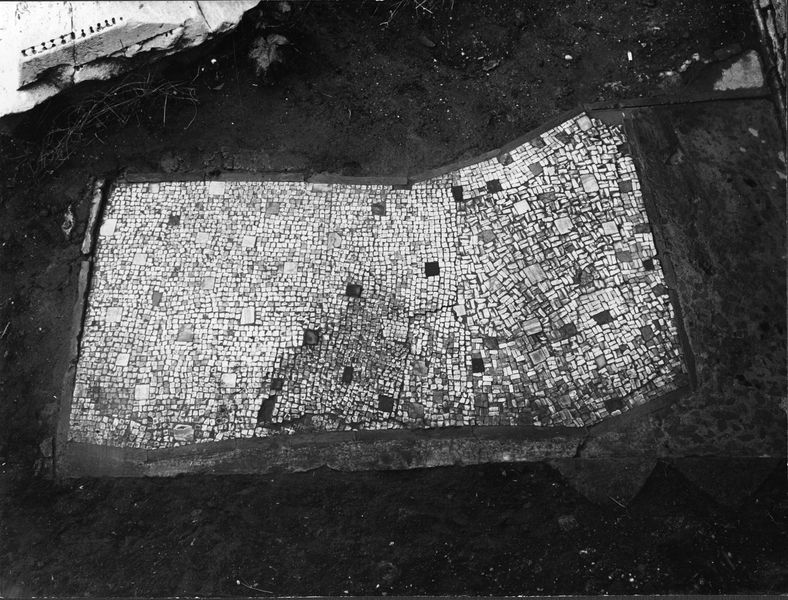 012383 - monumento - Casa delle Vestali, mosaico repubblicano a fianco dell'edicola; neg. serie 6x6, n. 3321