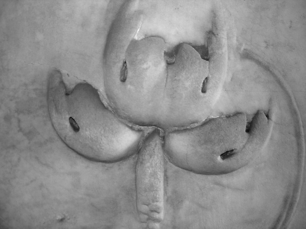 Foto 193.jpg