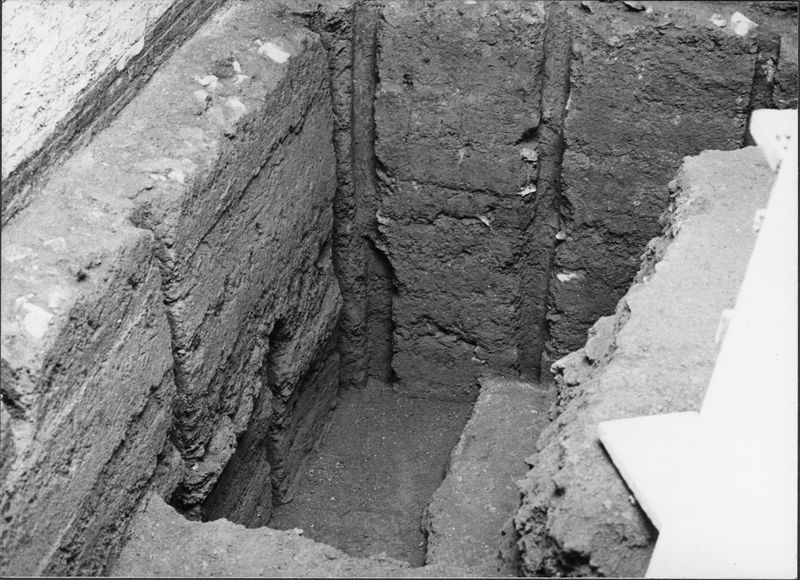 012403 - monumento - Casa delle Vestali, ambiente ad est del peristilio, c.d. "ara"