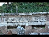 DSC_0400.NEF