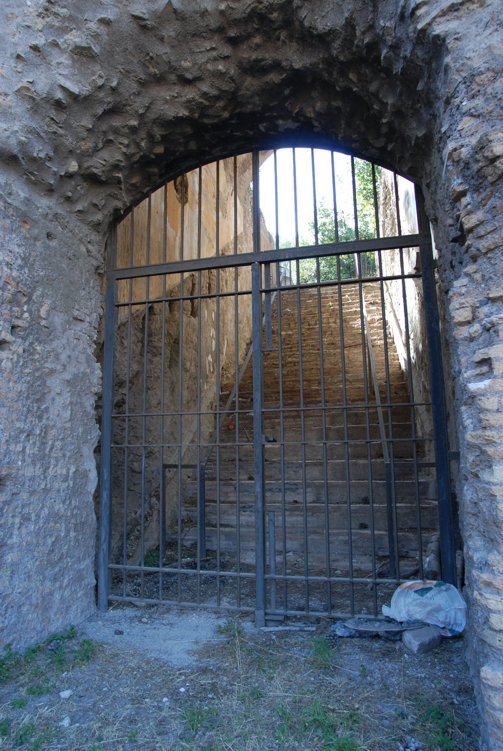 DSC_0050.JPG