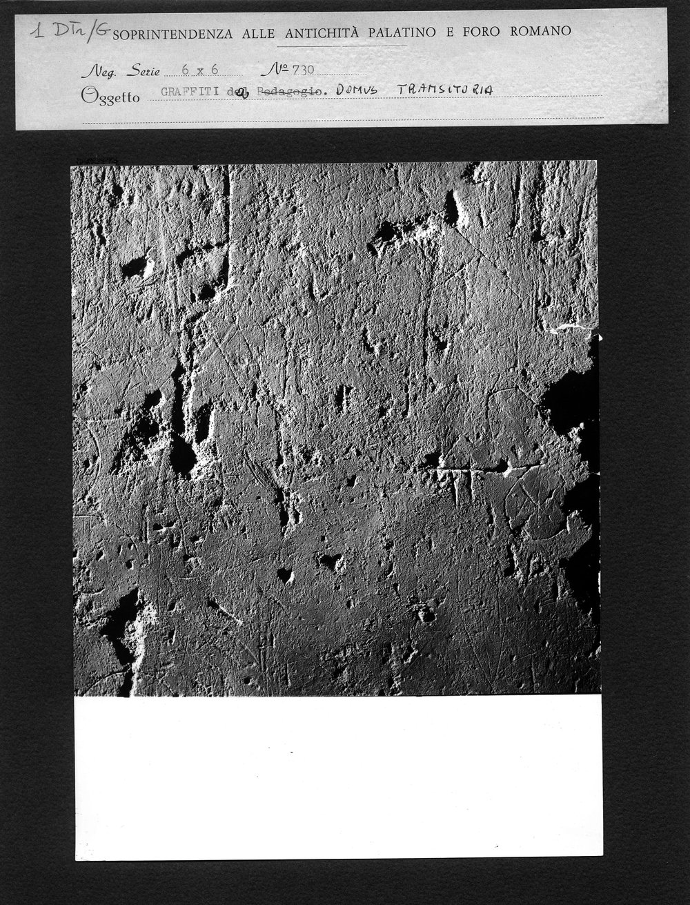 1 dtr-g.jpg