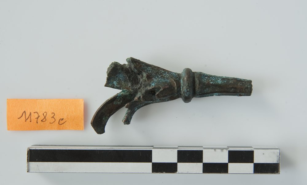 Inv.11783c_1.TIF
