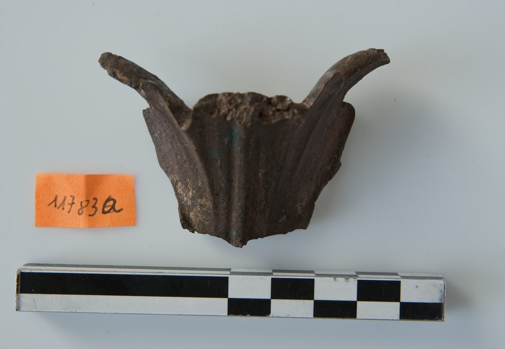 Inv.11783a_1.TIF
