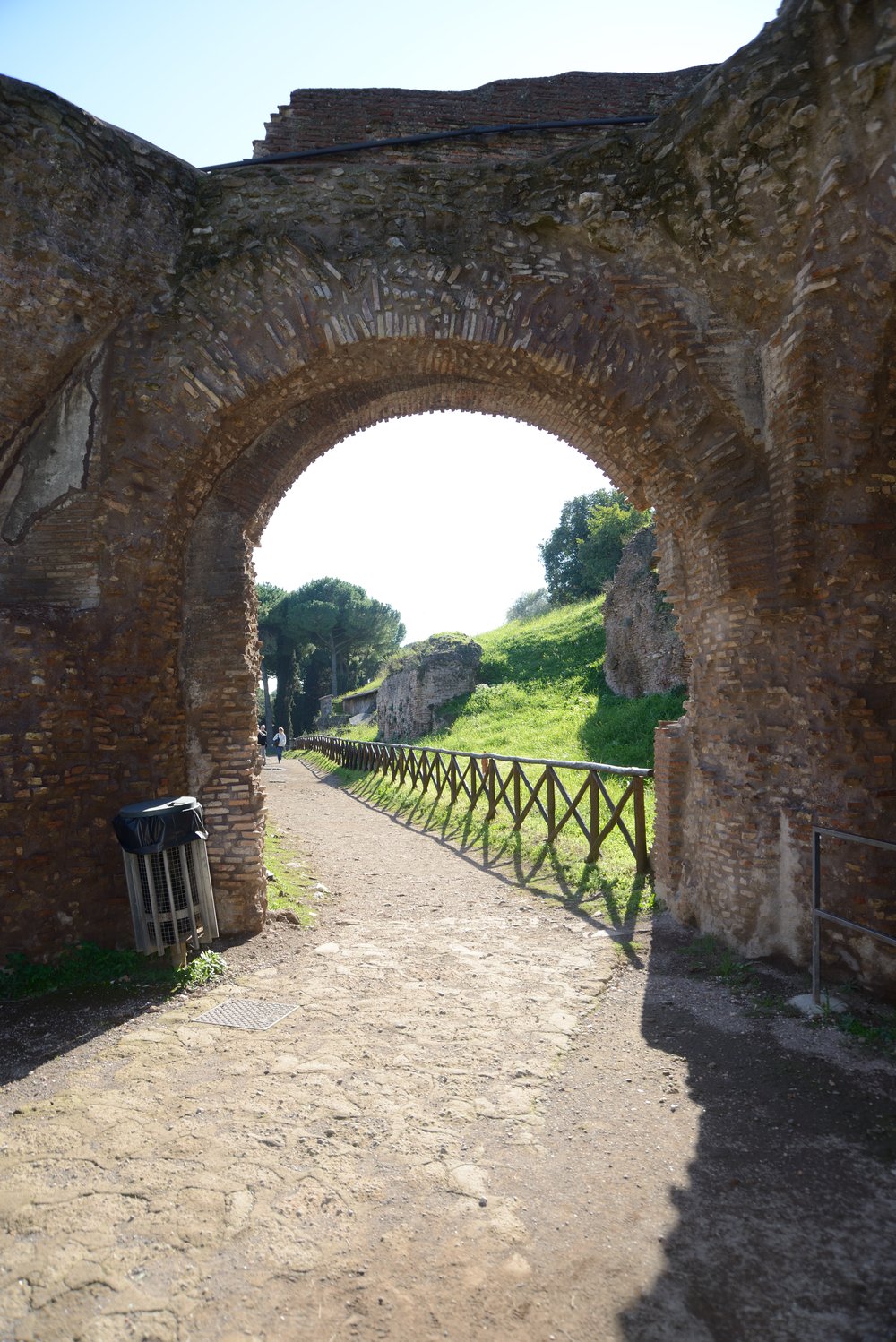 DSC_1954.JPG