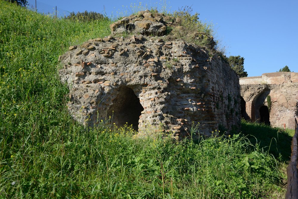 DSC_1950.JPG