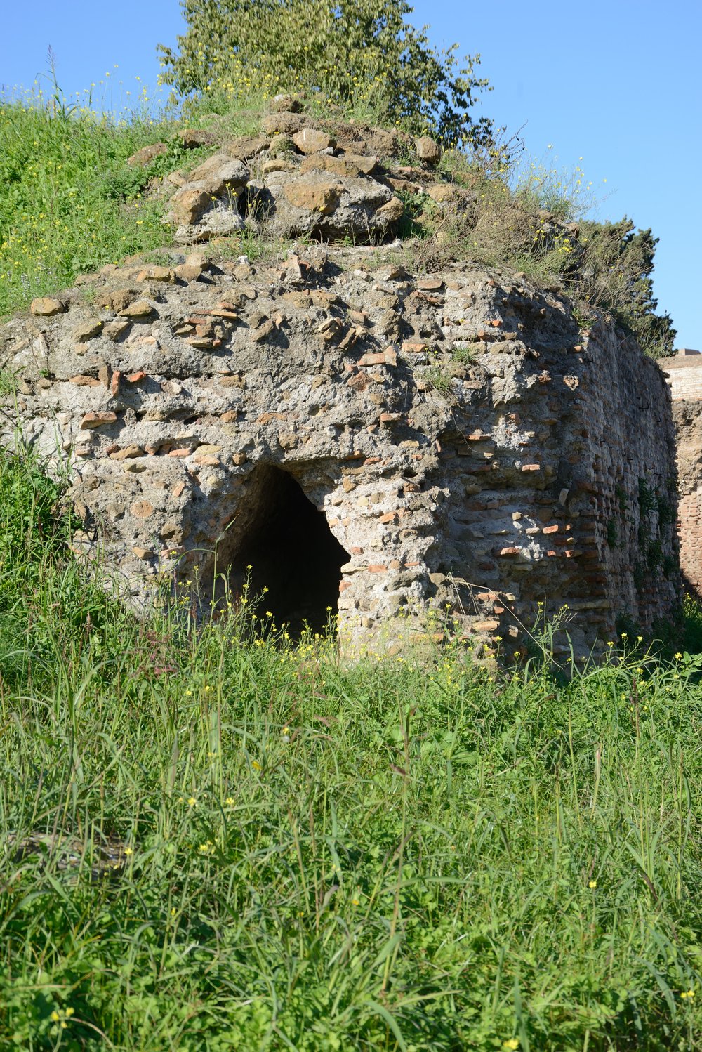 DSC_1948.JPG