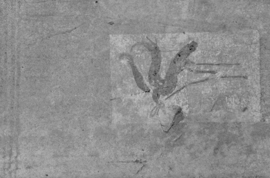 domus particolare.jpg