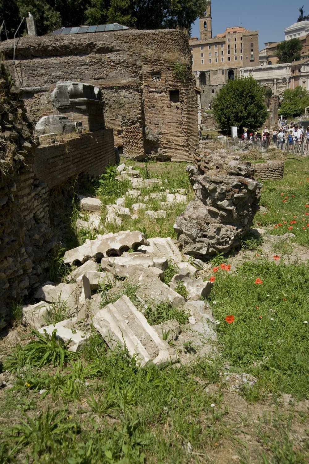 DSC_6153.JPG