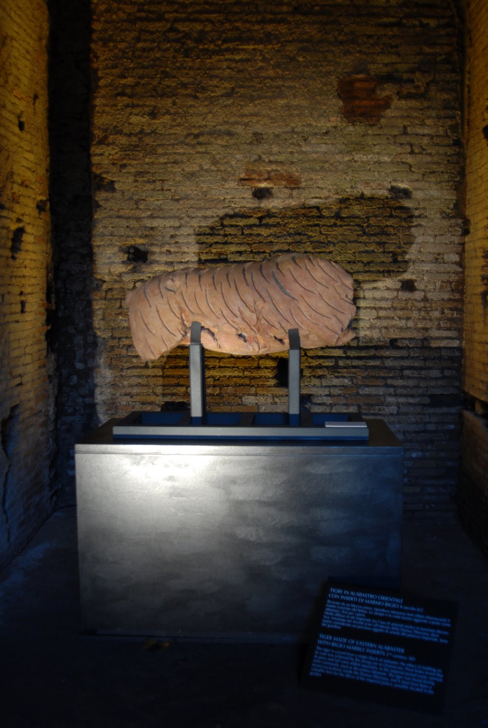 DSC_0669.JPG