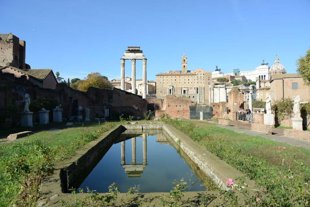 DSC_0179.JPG