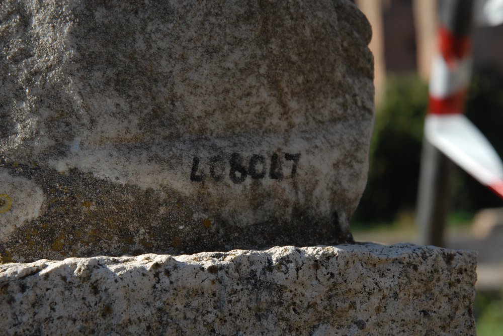 DSC_0460.JPG