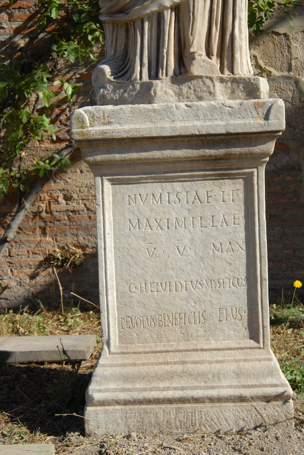 DSC_0478.JPG