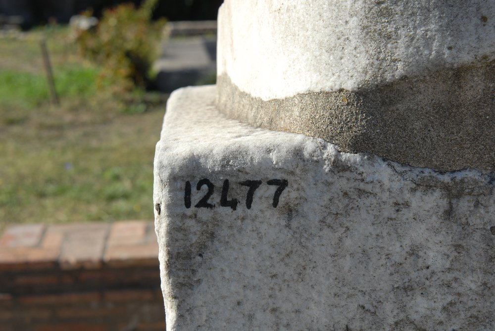 DSC_0448.JPG