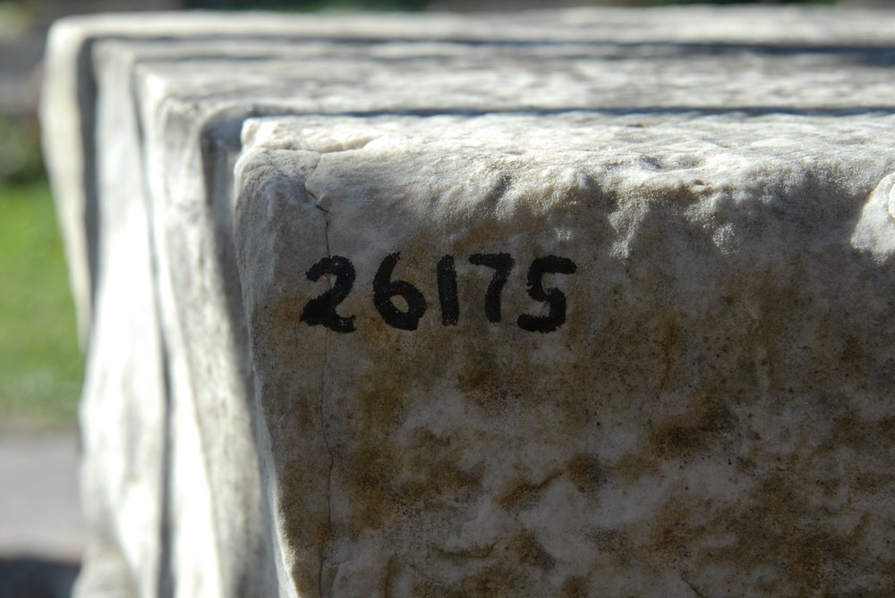 DSC_0482.JPG