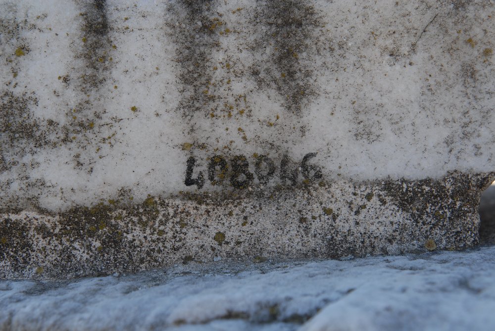 DSC_0449.JPG