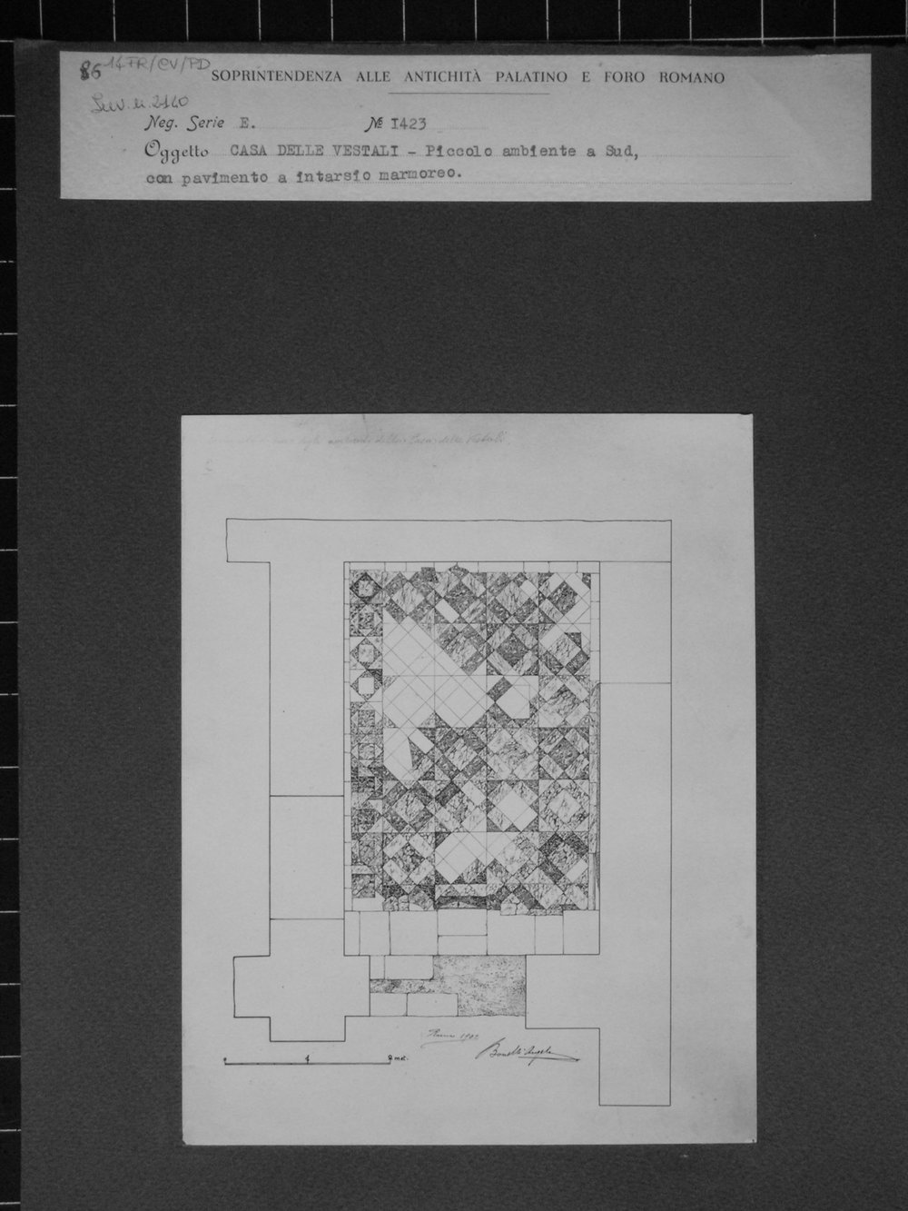 DSCN4613.JPG
