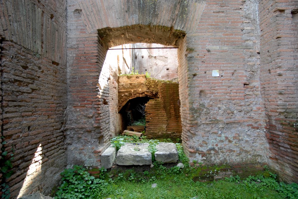 DSC_0290.JPG