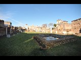 DSC_1137.NEF